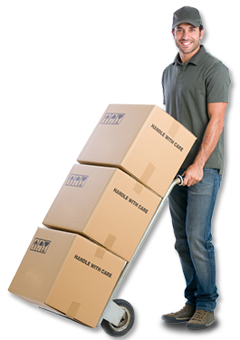 Geckobox - your local house and office Adelaide removalist.